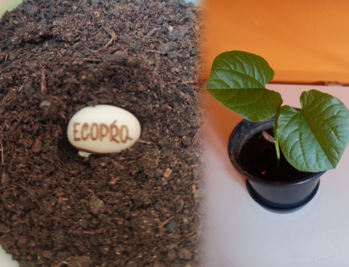 EcoPro – Plantar