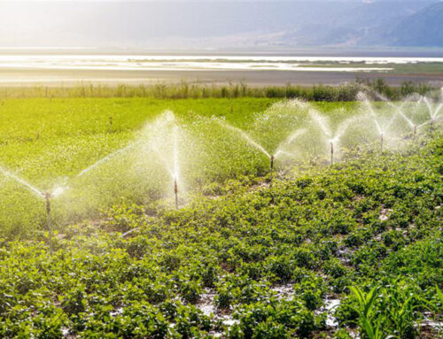 Benefícios do Tratamento de  Água para Irrigação