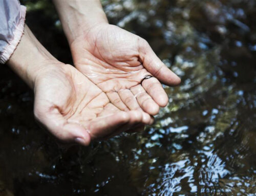 Como Saber se a Água do seu Poço é Realmente Potável?